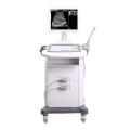 Hot Sale Portable Ultrasound Scanner for Veterinary